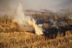 Кривична пријава против маж од Кукуречани за предизвикување пожар