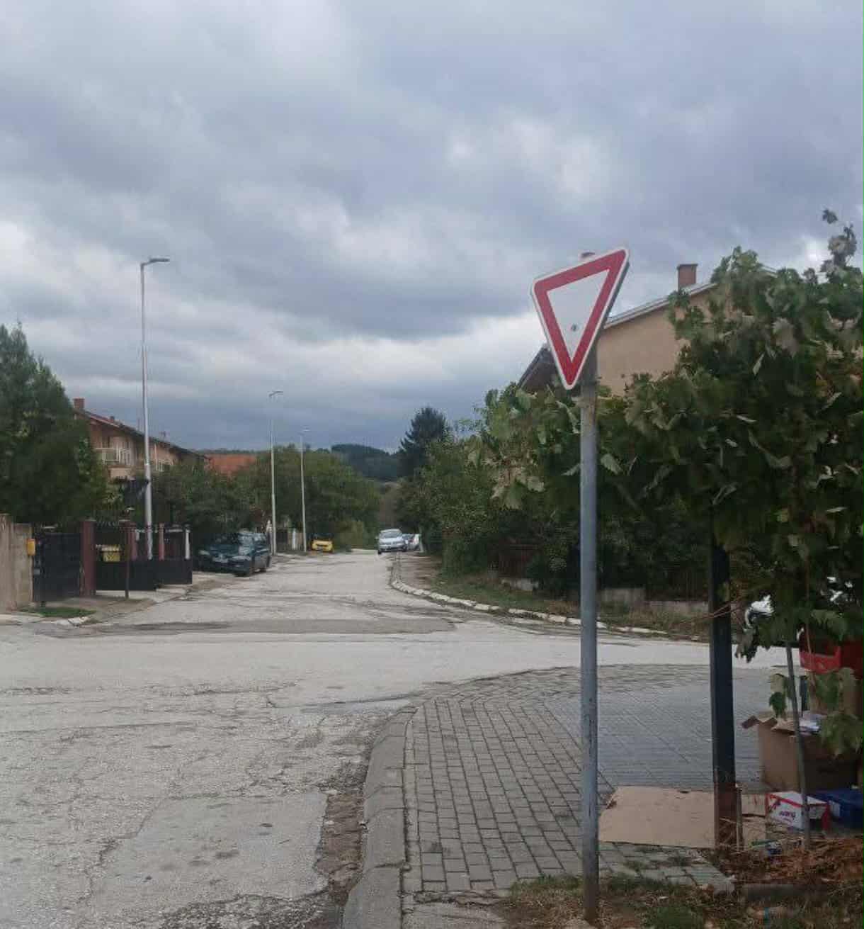1000007228