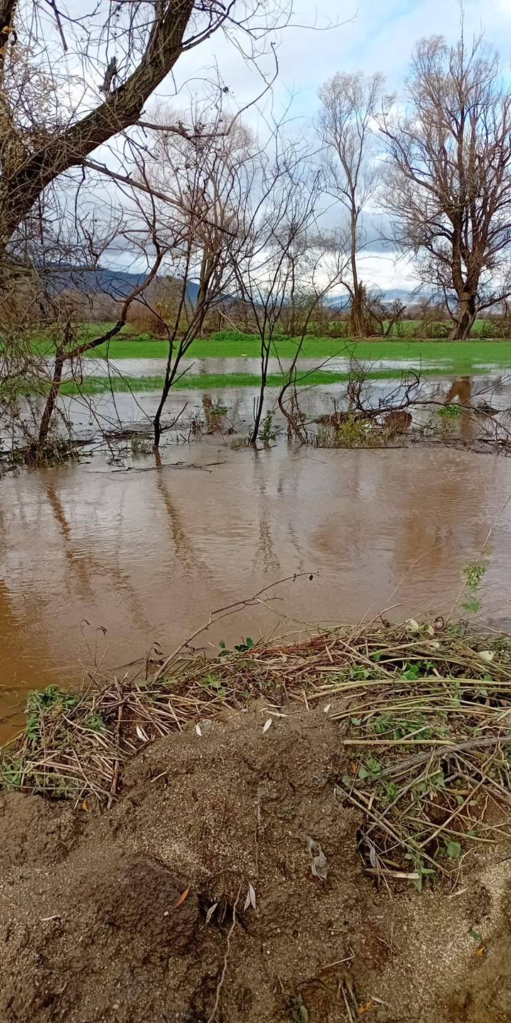 584972817 2047792236043070 1774472528009726858 n