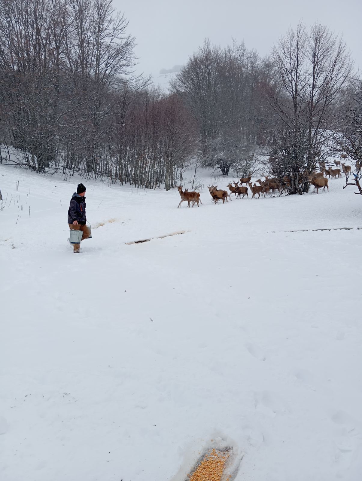 615523198 1186825053617380 5872606026061513623 n