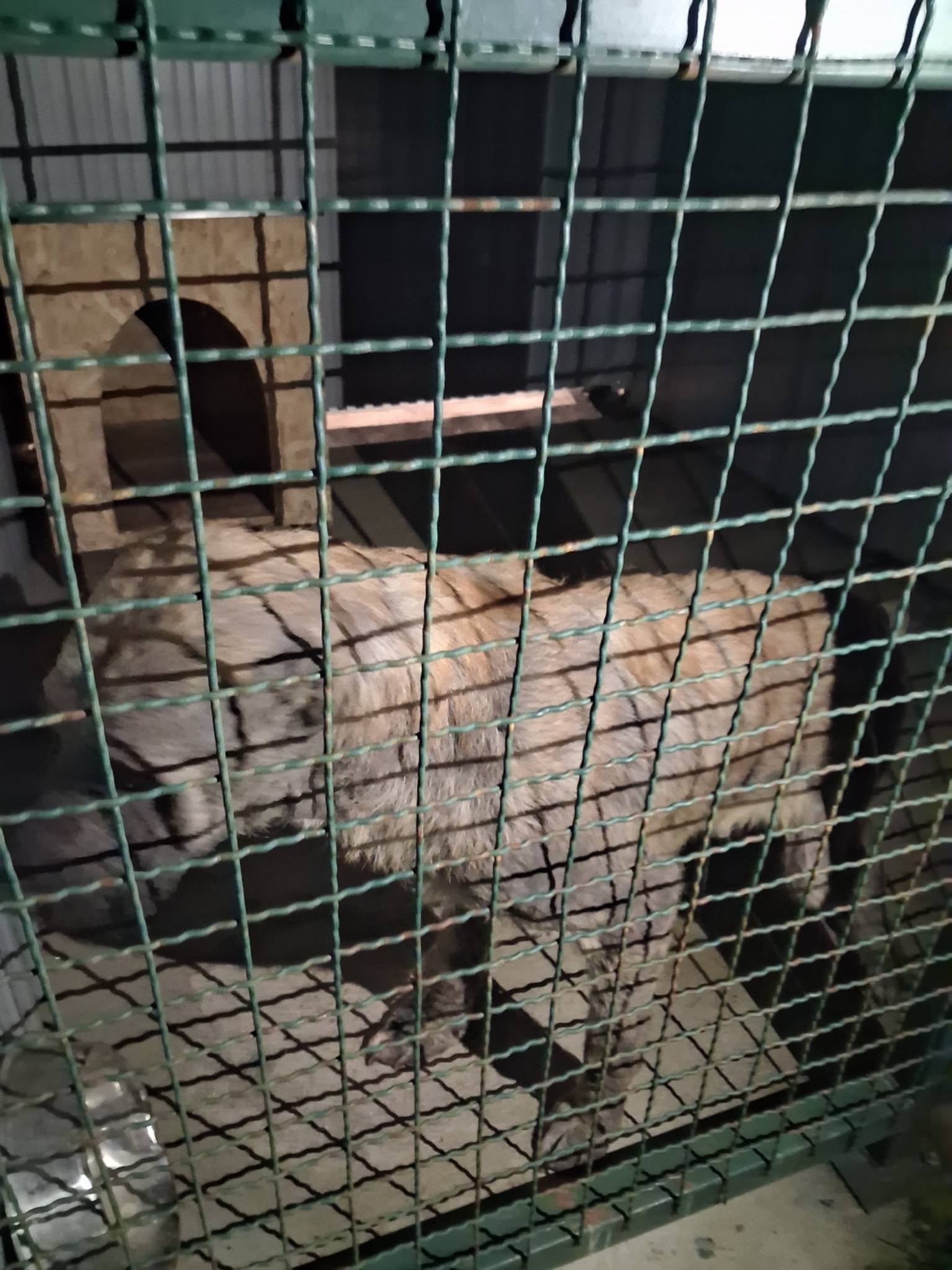 646832501 122203758902584406 1349860833087346205 n