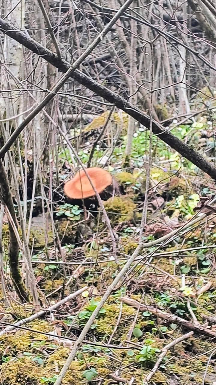 650314064 28151770151119319 5605759223651622506 n