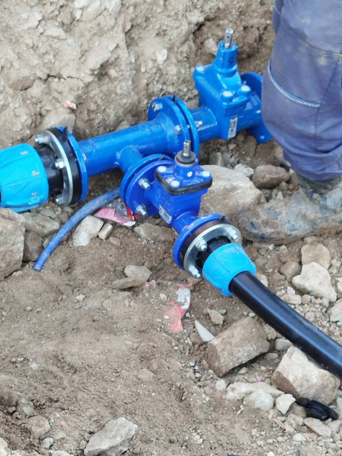 668726185 1276176424650790 6541072923065357603 n