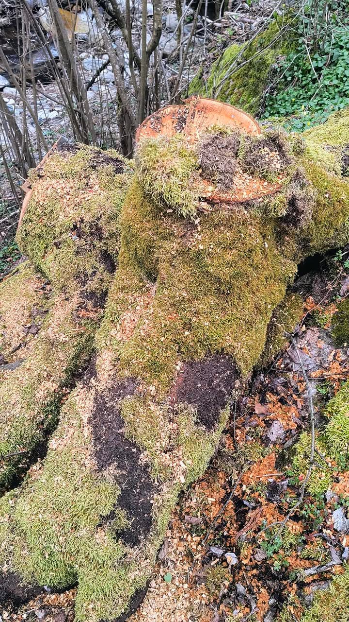 670292427 732313819893626 7921103120304999249 n