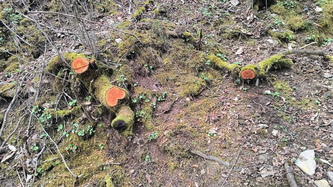 672919290 2286618295198677 7786124690781450462 n