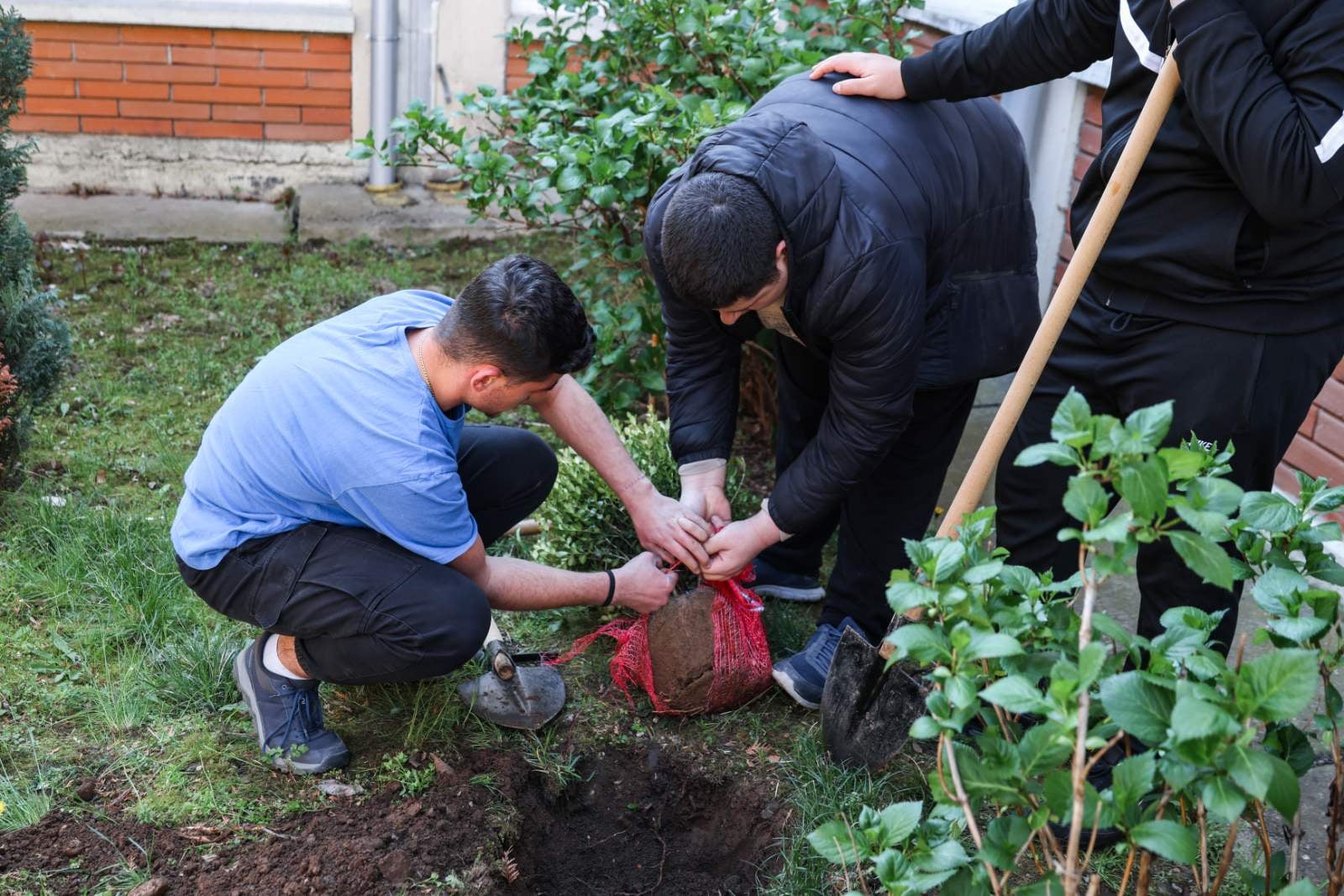 761f21d2 21a8 44f5 9d39 a81571544ccc