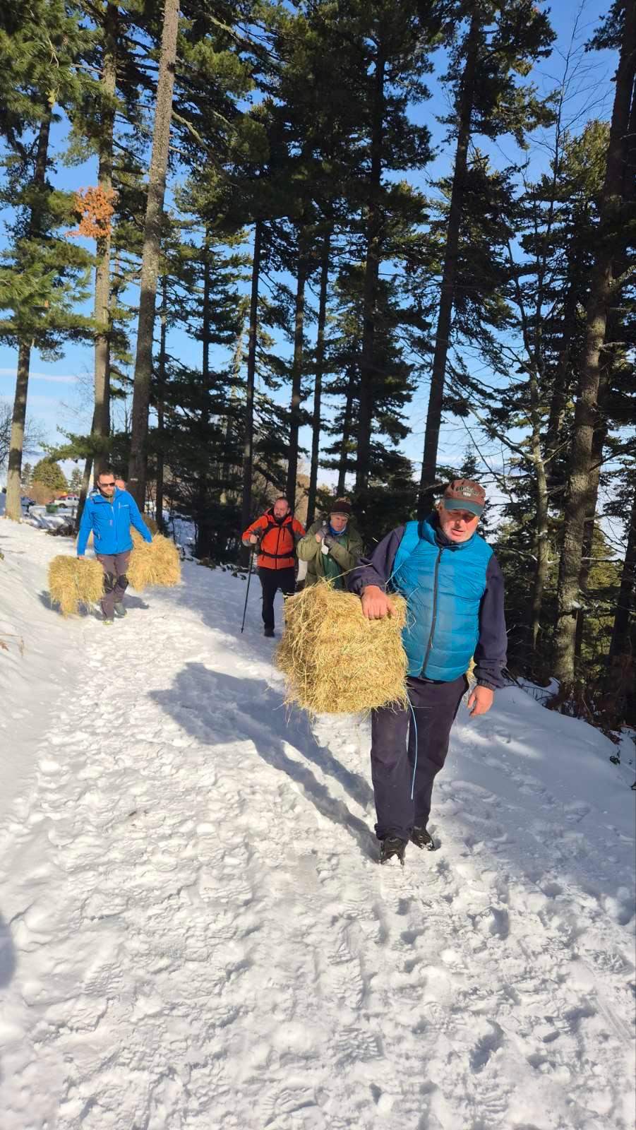 IMG 0ec6be5b415d7b3e283887f3424767d5 V