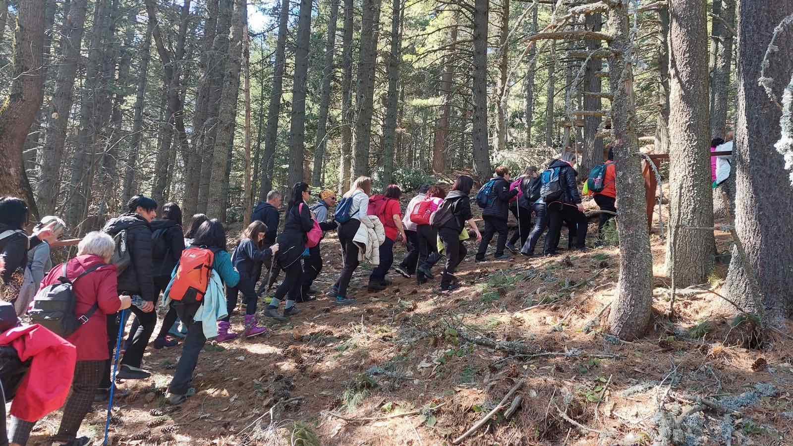 IMG 187f810ad21ff5fb208041487b787ab7 V