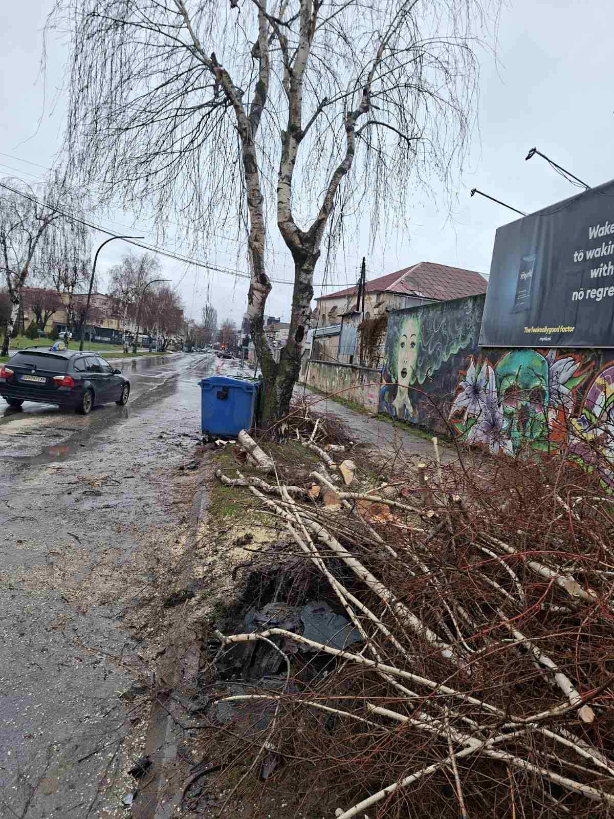 IMG 4a8389176cd4284de2b399b4855fbeb8 V