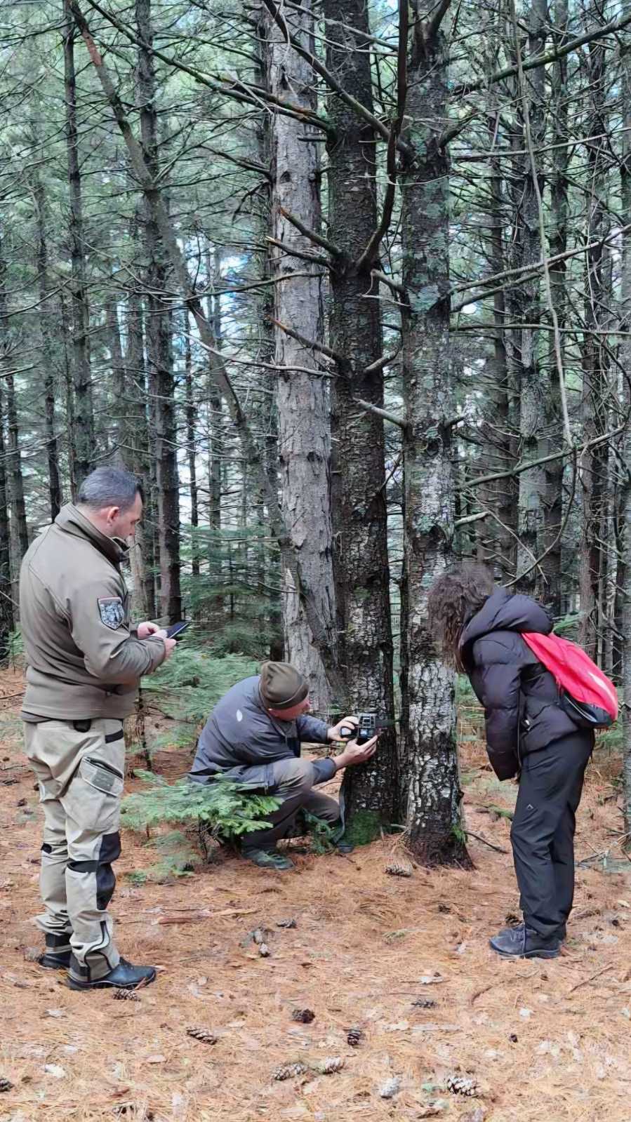 IMG 5d64b21680477a821f4fb7cc84e3f198 V