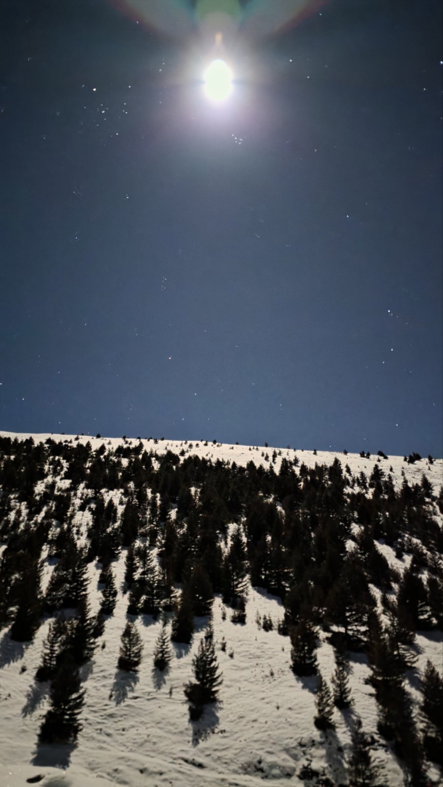 IMG 7b69e8649565f61c3cd899e9fb816ae8 V