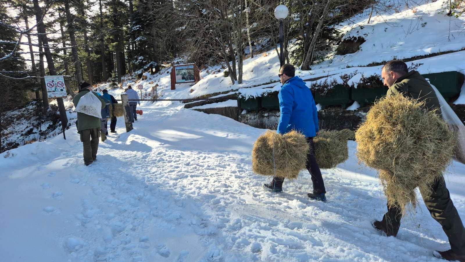 IMG 93e3d31d4aebfcbe9a0caf277e348c3a V