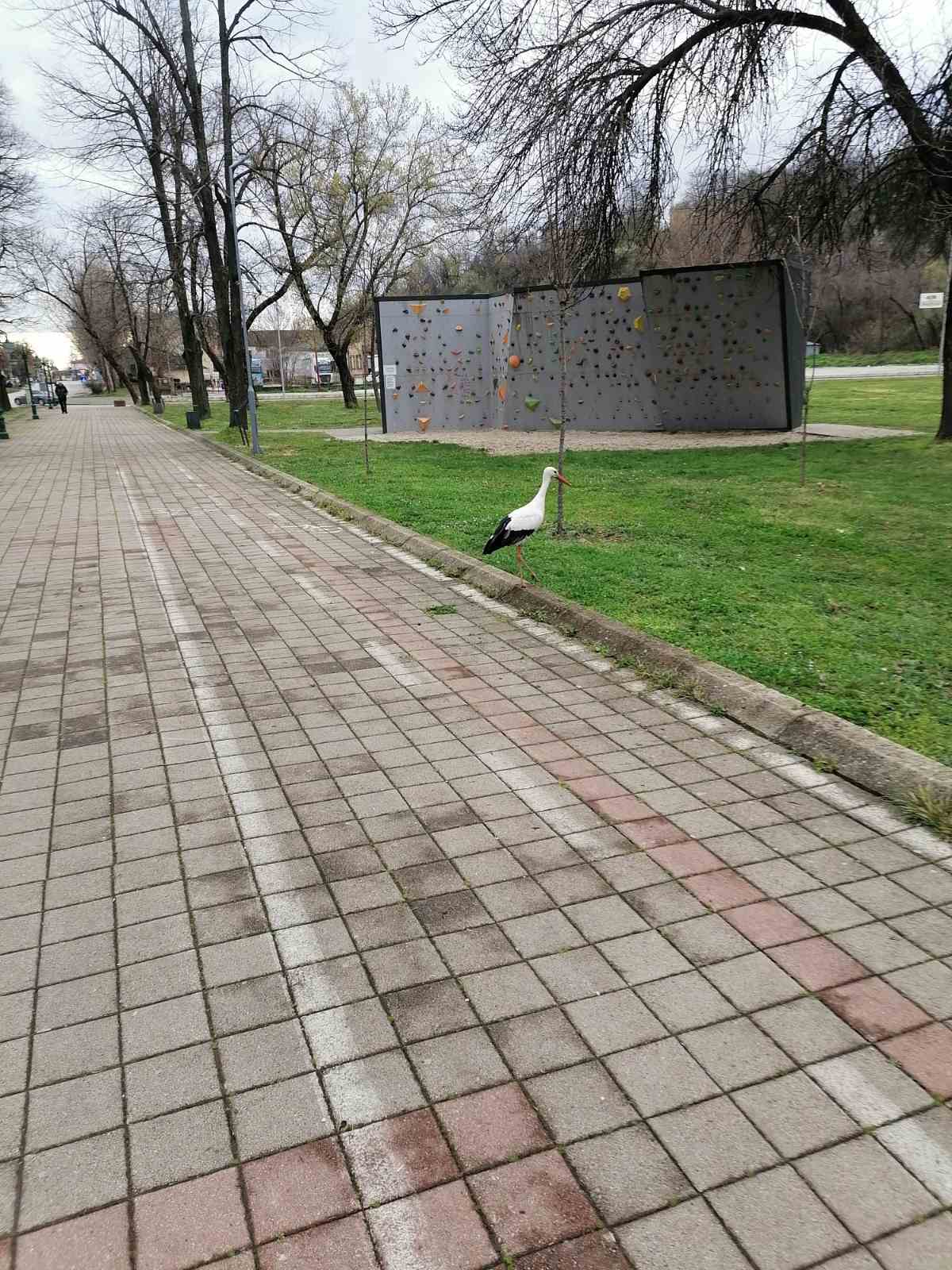 IMG 9759b61fce085ea2e50d943247ee8bc7 V