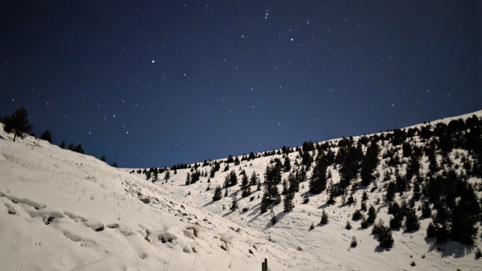 IMG e22f1990904dd013ac5b5a7436c43496 V