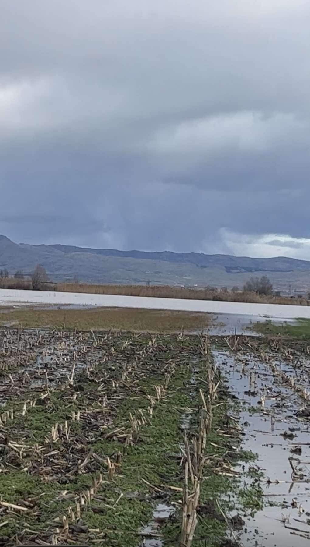 received 1948709602693599