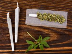 фото интернет - марихуана