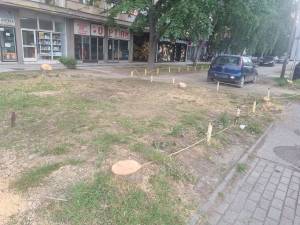 СДСМ: Коњановски и советниците од ДПМНЕ да објаснат врз основа на кој проект ги исекоа дрвјата кај Ветеринарното