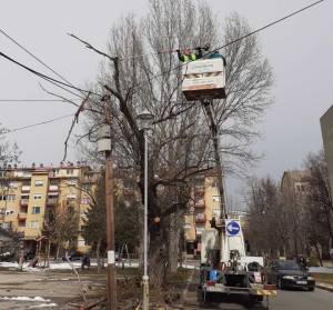 „Комуналец“ со пролетно кастрење и уредување на дрворедите