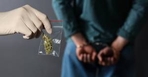 Одреден е притвор за 33 годишна битолчанка дилер на дроги