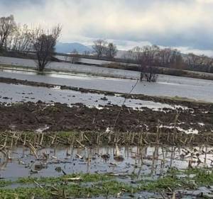 Ризик од поплави ширум Македонија – УХМР со итно предупредување