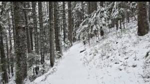 Видео - Снежна идила на Пелистер