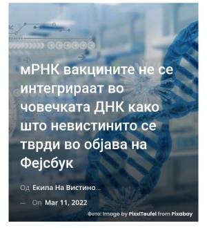 мРНК вакцините не се интегрираат во човечката ДНК како што невистинито се тврди во објава на Фејсбук