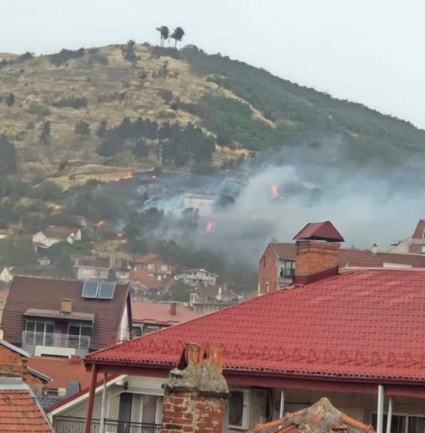 (фото) Пожар меѓу куќите под Кркардаш, срушени дрвја од невремето во Битола