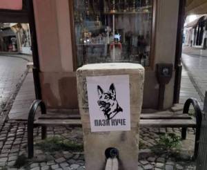СВР Битола-Битолчанка на 64 години касната од куче скитник на „Партизанска„