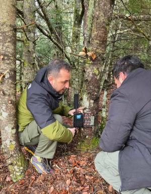 Четириесет камери поставени на Пелистер