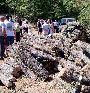 Над Љубојно се сечи шумата, жителите масовно на протест