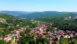 Уапсен е маж од Слоештица запалил објект на скопјанец