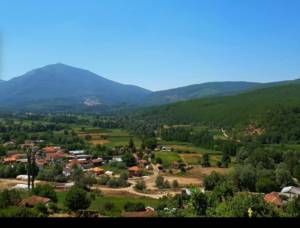 Насилник од село Лера ја нетепал поранешната сопруга и нејзиниот брат