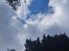 (Фото+ видео) Змејови летаа на небото над Пелистер