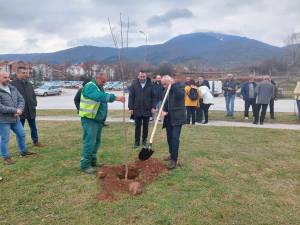 (Фотогалерија) 2000 садници за почиста и позелена Битола