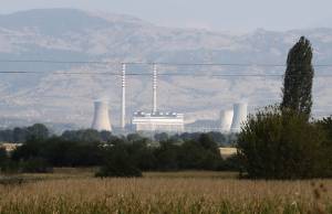 Фото: Б. Грданоски