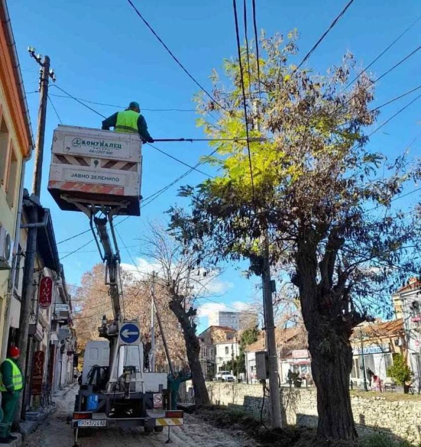„Комуналец“ за поубава и почиста Битола-се кастрат дрвјата вдож Булеварот &#039;1 Мај&#039;, се чистат коловозите од лисјата и отпадот