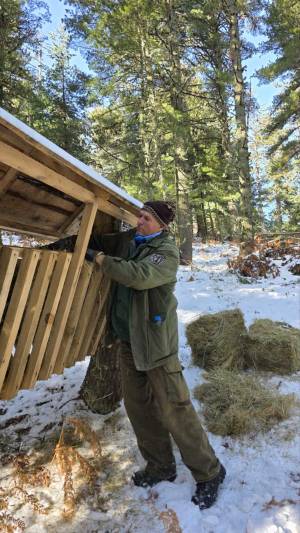Во НП Пелистер се остава храна за дивечот