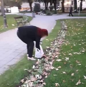 Кој си има најлонче ќе си украде цвеќенце-битолчанки ги сотреа цветните леи низ Битола