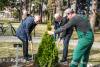 Петар Ставрев засади дрвце во алејата на добитниците на четвртоноемвриската награда за животно дело