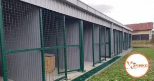 "Хачико" со демант - Лага е дека исто куче ги касна двете деца во населбата Баир во Битола