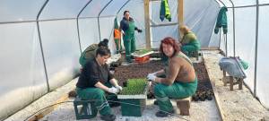 Џунџулиња ќе ја красат Битола-се подготвува цветниот асортиман во ЈКП Комуналец Битола